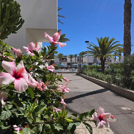 Tenerife South Sunny Terrace With View And Big Pool Aircon Dw Daire Costa Del Silencio