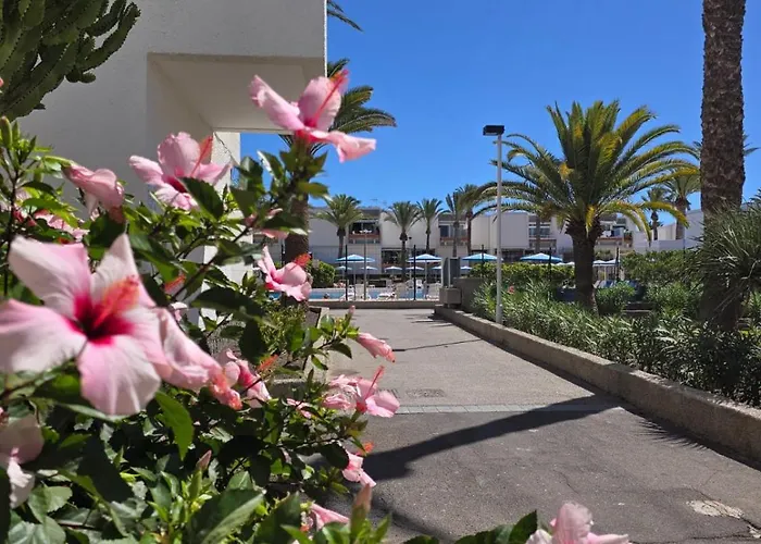 Tenerife South Sunny Terrace With View And Big Pool Aircon Dw Διαμέρισμα Costa Del Silencio