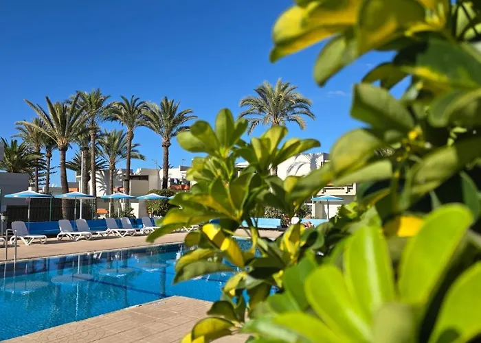 Tenerife South Sunny Terrace With View And Big Pool Aircon Dw Διαμέρισμα